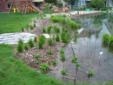 Spring 2011 Heavy rains